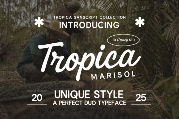Enhance Your Brand with Tropica Marisol Duo Font